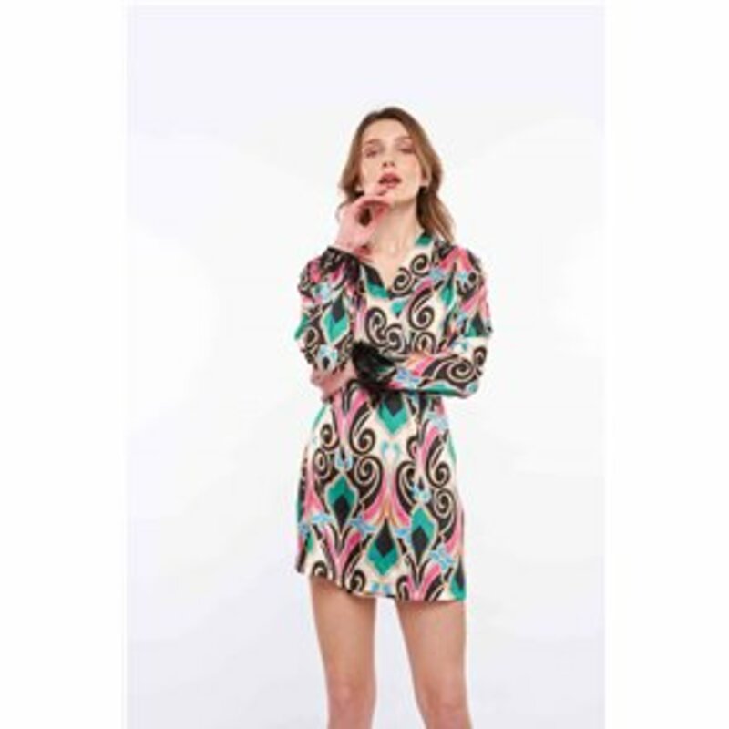 MINI DRESS WITH V DECOLLETAGE WITH DESIGN AND FEATHER ON THE SLEEVE